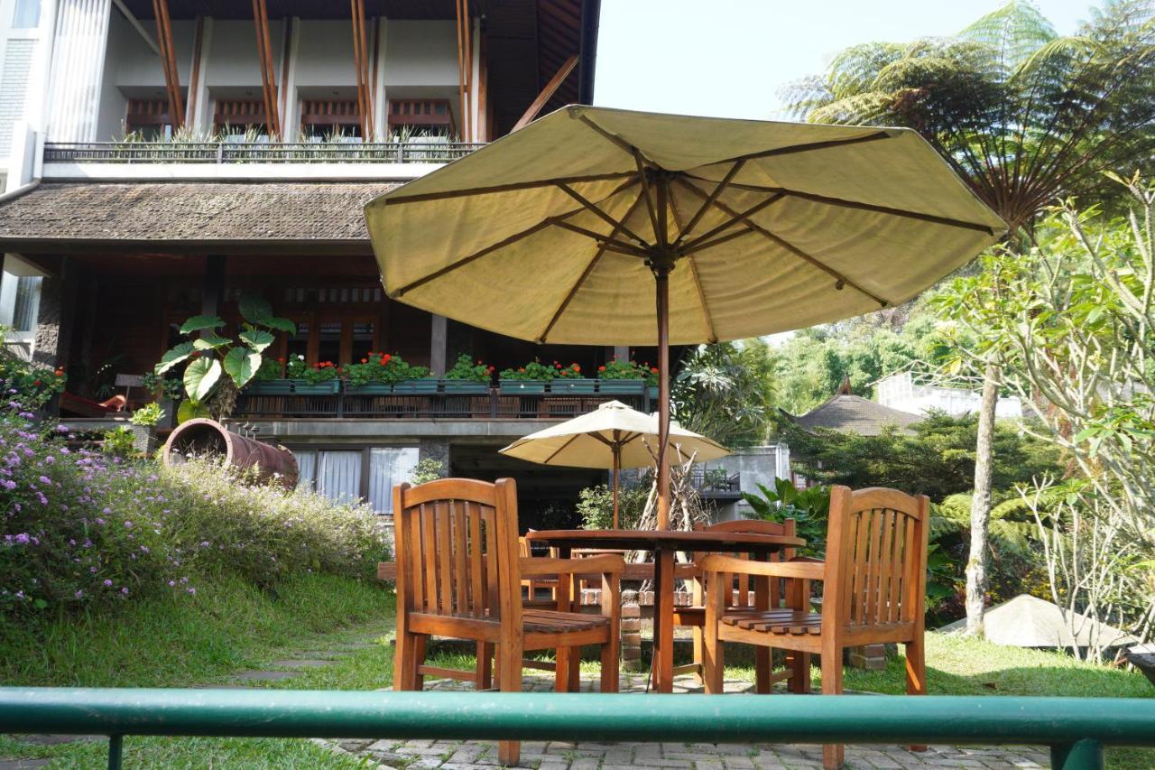 Rumah Stroberi Organic Farm & Family Lodge Лембанг Екстериор снимка