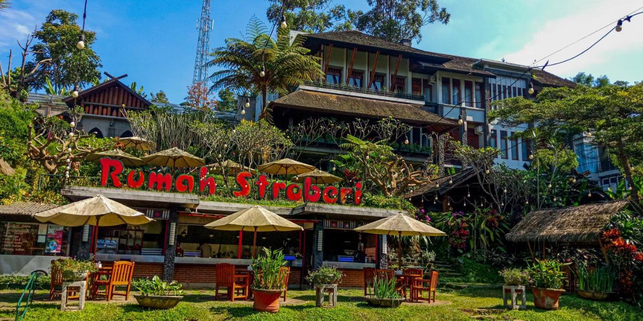 Rumah Stroberi Organic Farm & Family Lodge Лембанг Екстериор снимка