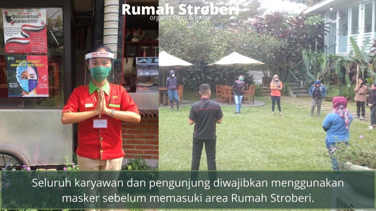 Rumah Stroberi Organic Farm & Family Lodge Лембанг Екстериор снимка
