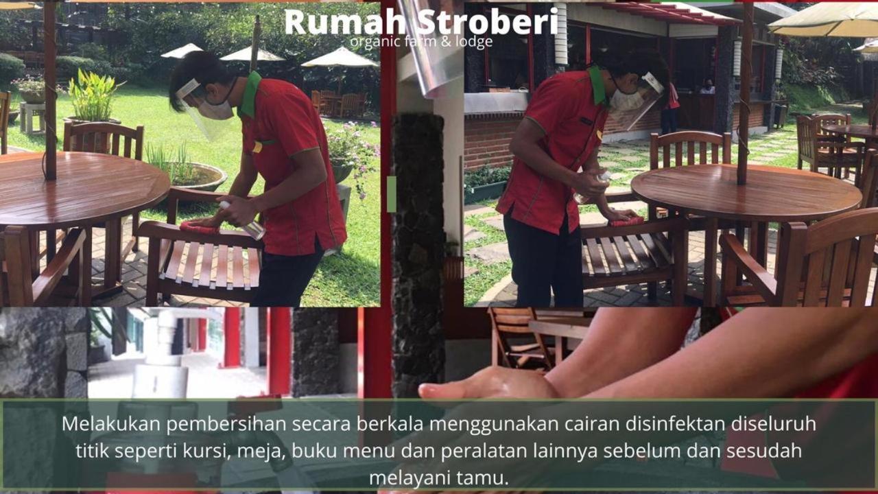 Rumah Stroberi Organic Farm & Family Lodge Лембанг Екстериор снимка